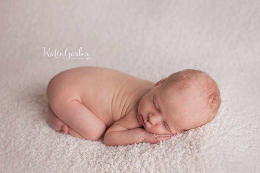 classic newborn portrait