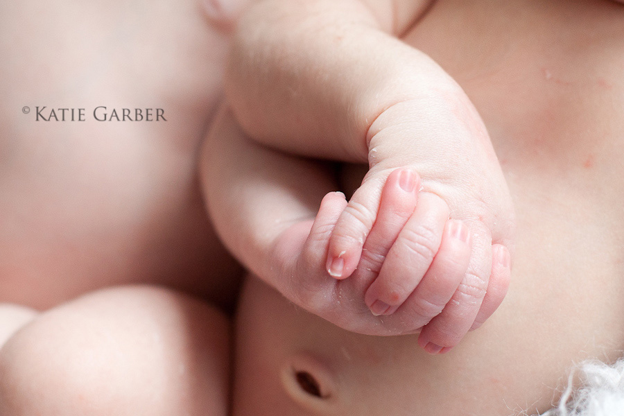 newborn twins holding hands