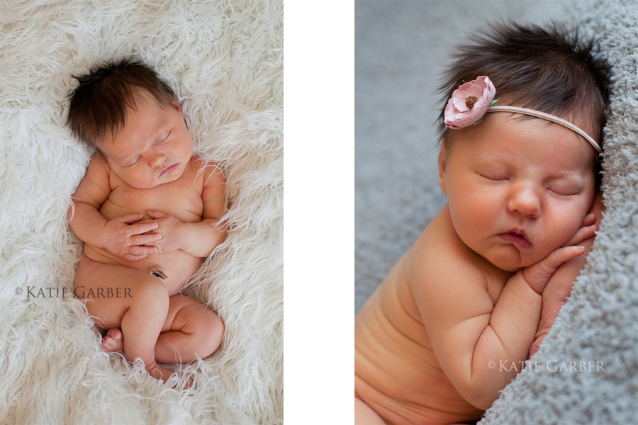 newborn portraits