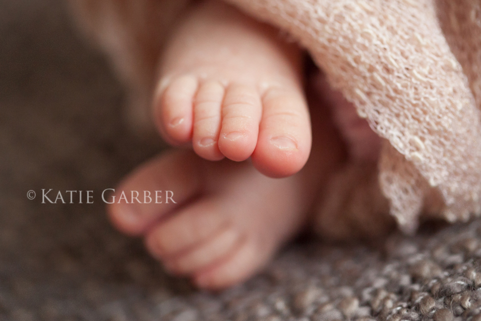 newborn macro toes