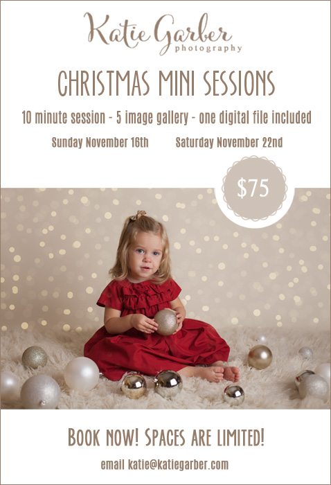 Christmas mini template