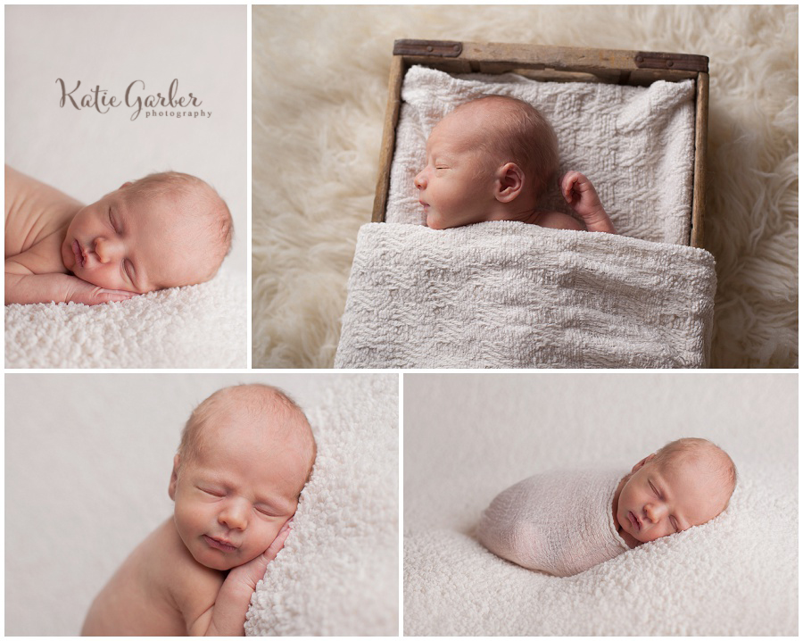 newborn baby photos