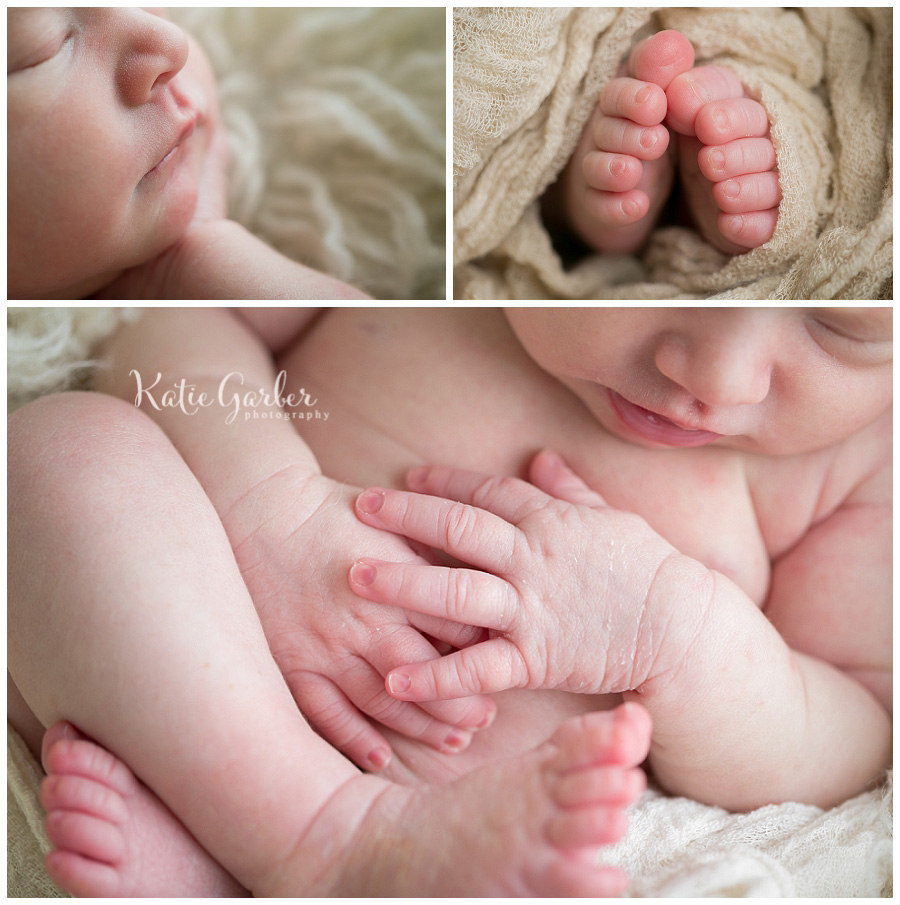 newborn macro details