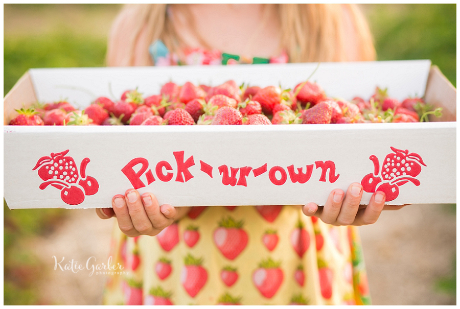 pick your own strawberries