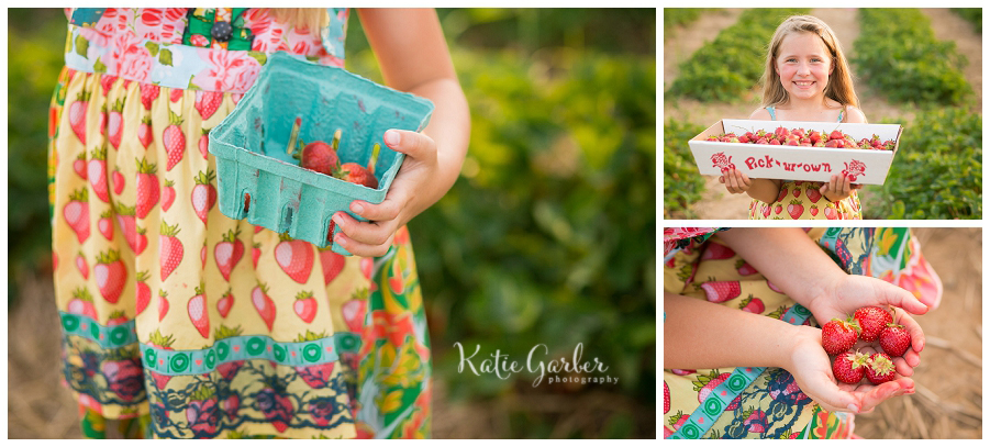 picking strawberries