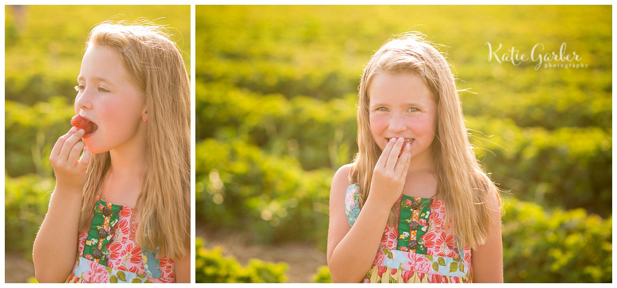 strawberry photo session