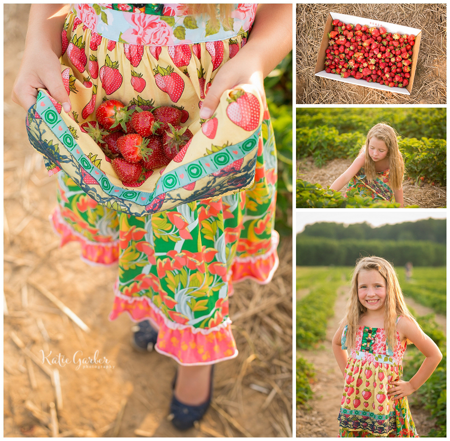 strawberry picking photo session
