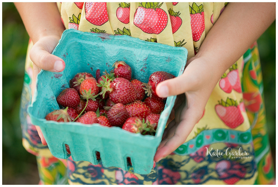 strawberry picking