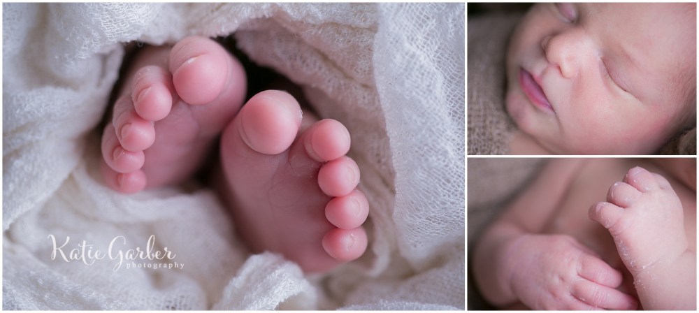 newborn baby macro details