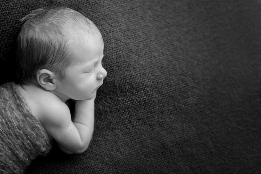 baby photography williamsport