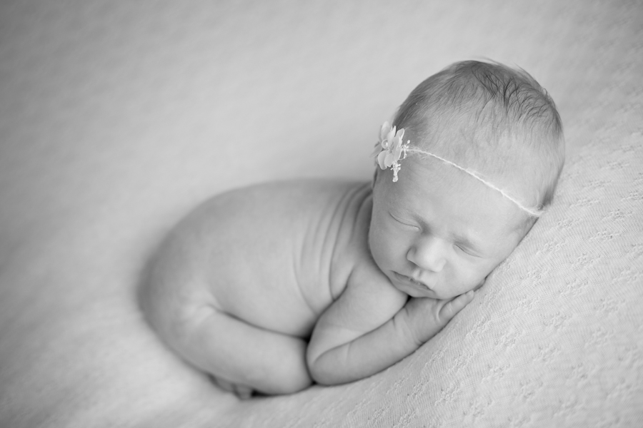 newborn photography williamsport