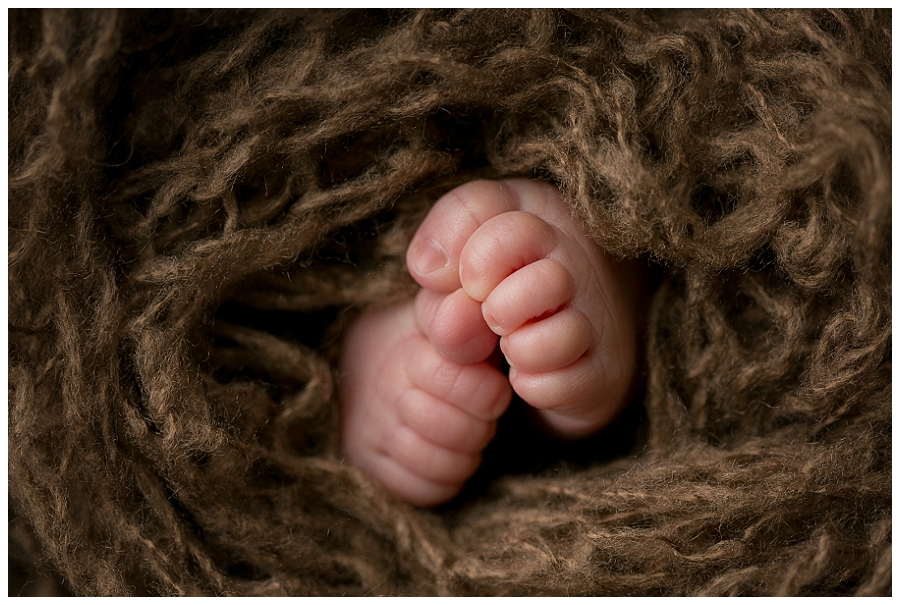 Katie Garber Photography – Williamsport newborn photographer – macro baby toes